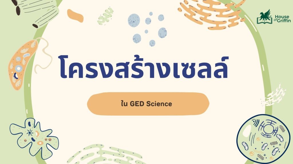 สรุปเนื้อหาโครงสร้างเซลล์ หัวข้อข้อสอบ GED Science