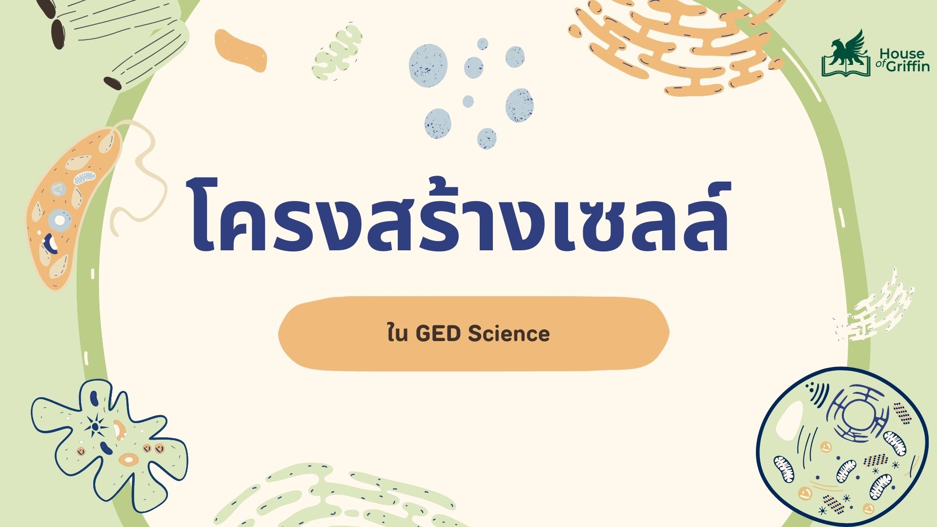 สรุปเนื้อหาโครงสร้างเซลล์ หัวข้อข้อสอบ GED Science